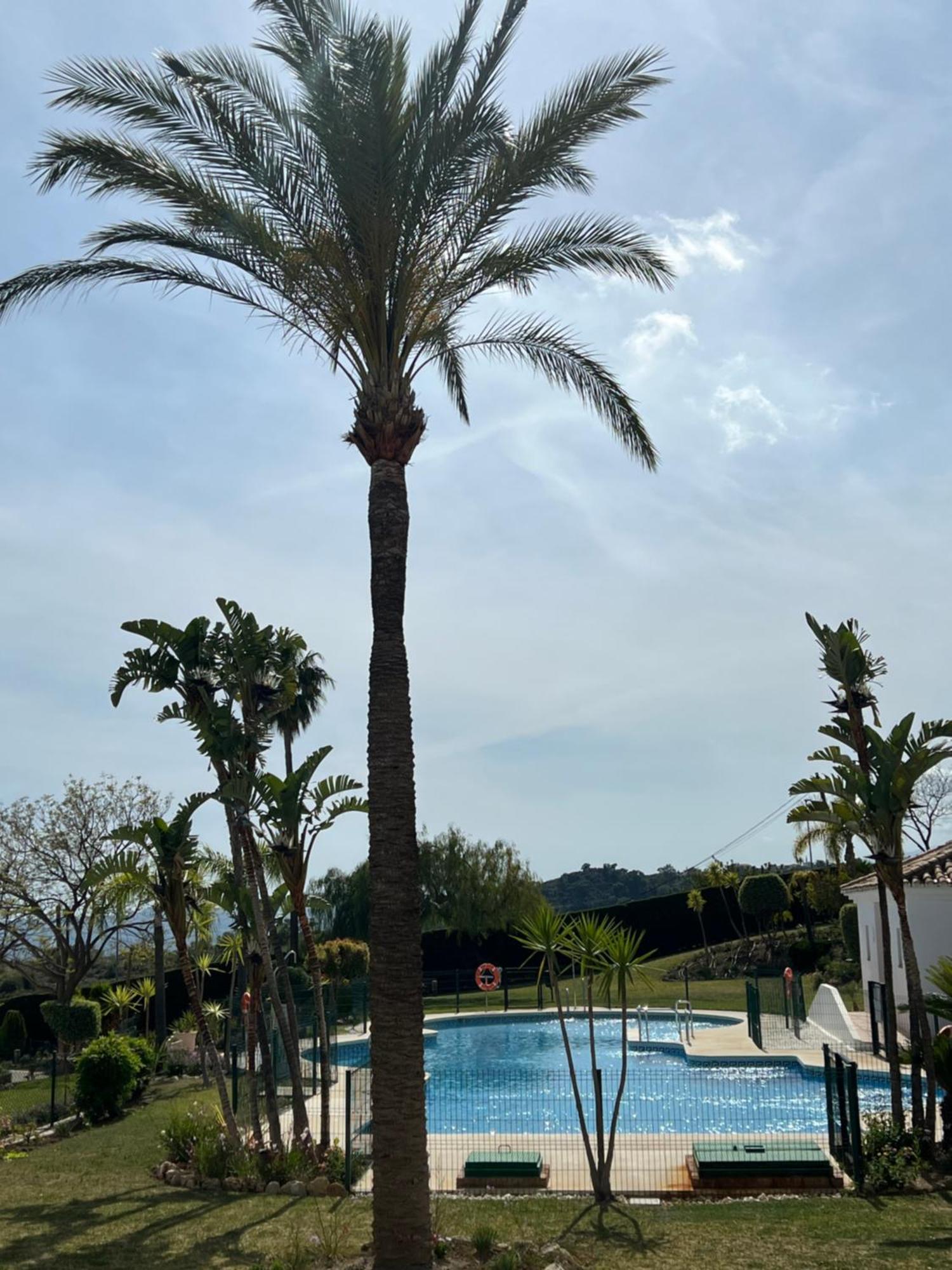 Finca San Antonio Two Bedroom Apartment With Swimming Pool Mijas Esterno foto